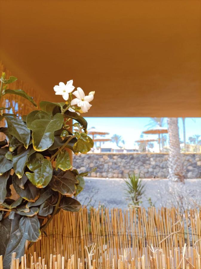 Mai Fuerteventura By Best Holidays Fuerteventura Appartement Corralejo Buitenkant foto